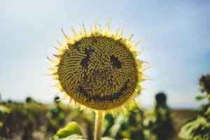 Coaching mit Humor und gezielter Provokation erleichtert Veränderung und ist wirkungsvoll